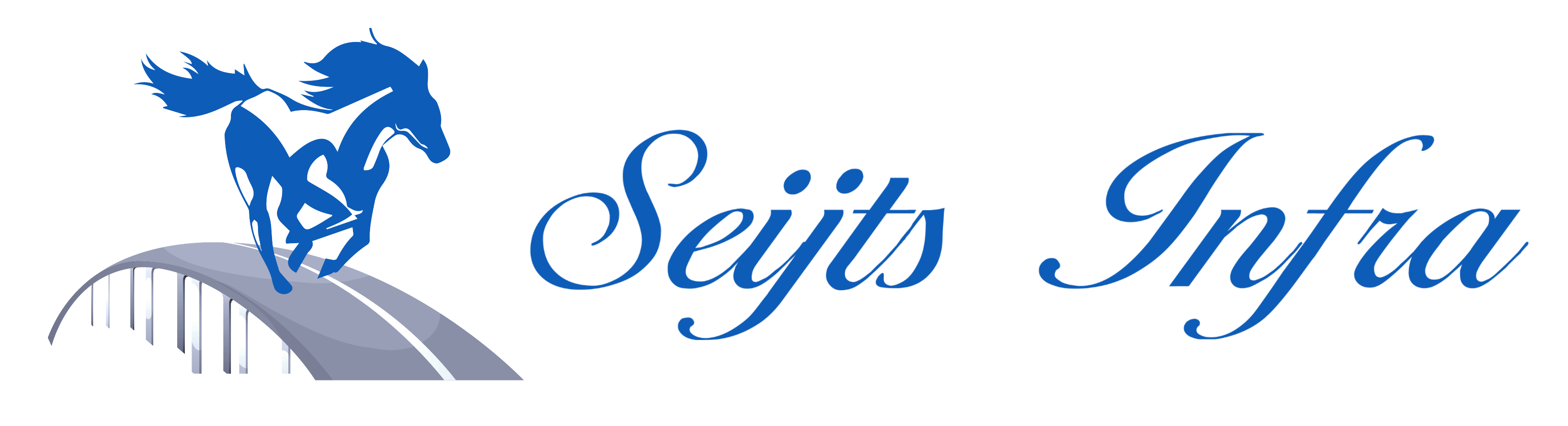 Seijts Infra Logo